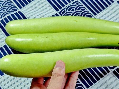 吃瓠子瓜健康吗,营养丰富的健康美食选择