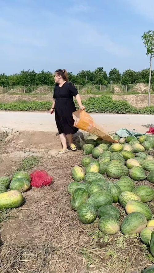 农村人吃瓜图片,农村人吃瓜的幸福时光