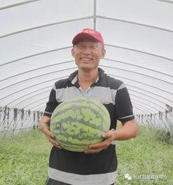 热点视频吃瓜群众,吃瓜群众眼中的娱乐圈风云