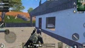 瓜吃鸡,一场别开生面的美食盛宴