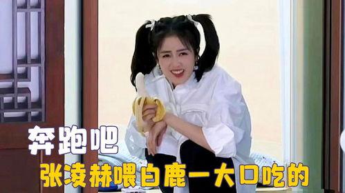 白鹿吃瓜跑男,白鹿吃瓜事件引发校园男生竞相模仿