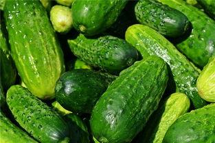 梦见和家人吃瓜,一家人的温馨食趣