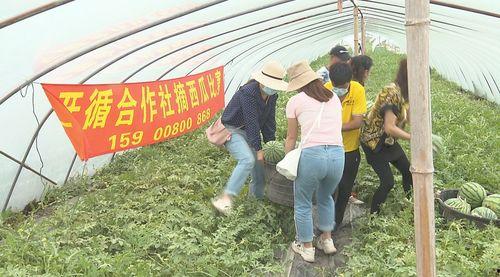 专业选手和吃瓜群众,揭秘电竞风云背后的故事