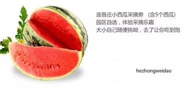 禾野吃瓜,揭秘娱乐圈幕后故事