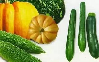 肥姐吃瓜,揭秘娱乐圈幕后故事