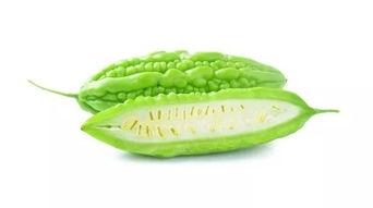 道具夏日吃瓜季,尽享“吃瓜季”欢乐时光