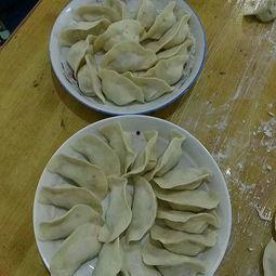 除夕吃角瓜鸡蛋饺子,角瓜鸡蛋馅，迎新春佳节