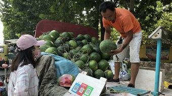 济宁 吃瓜,瓜果飘香，品味生活新风尚