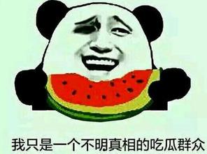 洪先森吃瓜群众,吃瓜群众的趣味生活