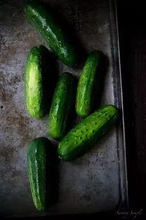 吃瓜生存7,揭秘娱乐圈背后的真相与生存法则