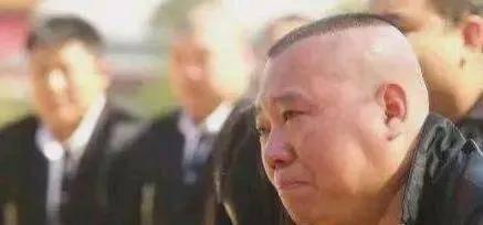 魏县吃瓜事件始末,一场网络舆论的风波与反思