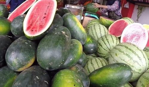 中国吃瓜达人,揭秘中国吃瓜达人的独特生活与社交现象