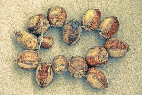 吃角瓜得癌,揭秘食物与健康的微妙关系