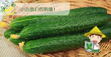 吃瓜配歌,解锁夏日清凉新姿势