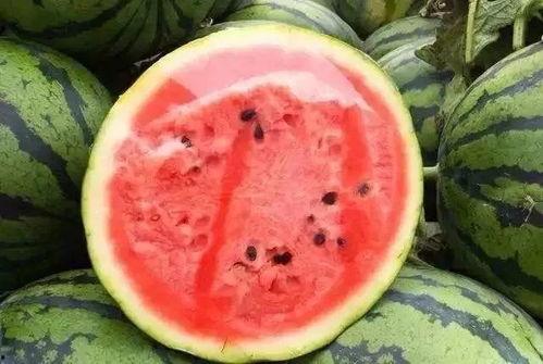 切切吃瓜,揭秘娱乐圈那些不为人知的幕后故事