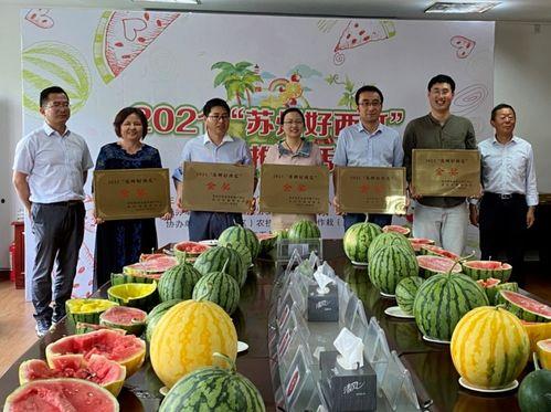 江苏常熟山上吃瓜,夏日山间吃瓜乐翻天