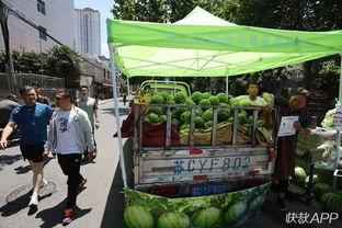 徐州乐园吃瓜事件,一场意外的美食风波