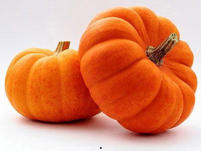 喜欢吃瓜的瓜掌柜