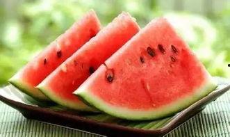 沈丘学校吃瓜,揭秘校园里的“瓜田”风云