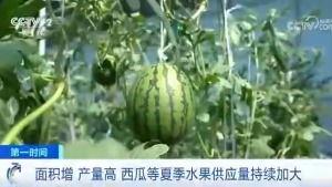 昊天吃瓜群众,揭秘娱乐圈幕后风云