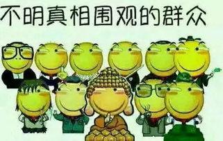 上墙吃瓜,揭秘网络热议背后的真相与趣味