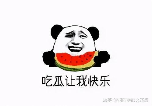 吃不吃瓜文案短句
